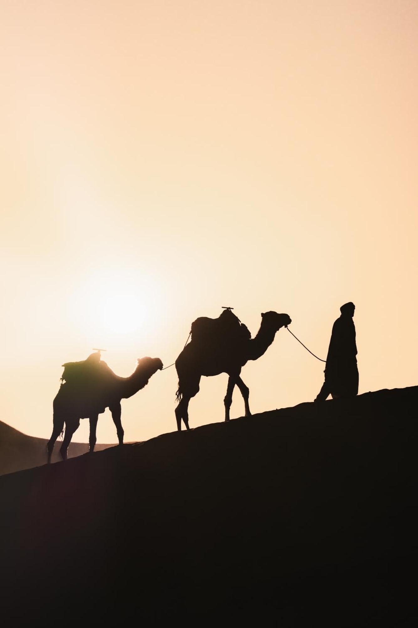 فندق Royal Luxury Camp مرزوكة المظهر الخارجي الصورة