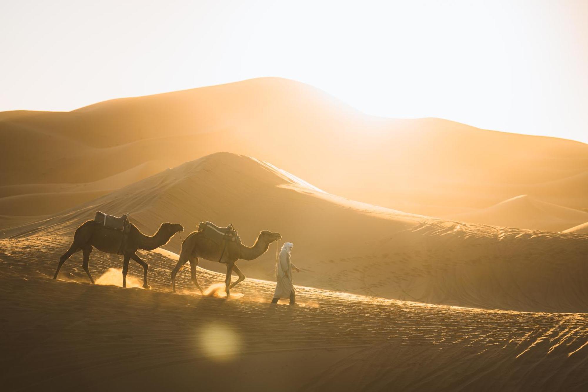 فندق Royal Luxury Camp مرزوكة المظهر الخارجي الصورة