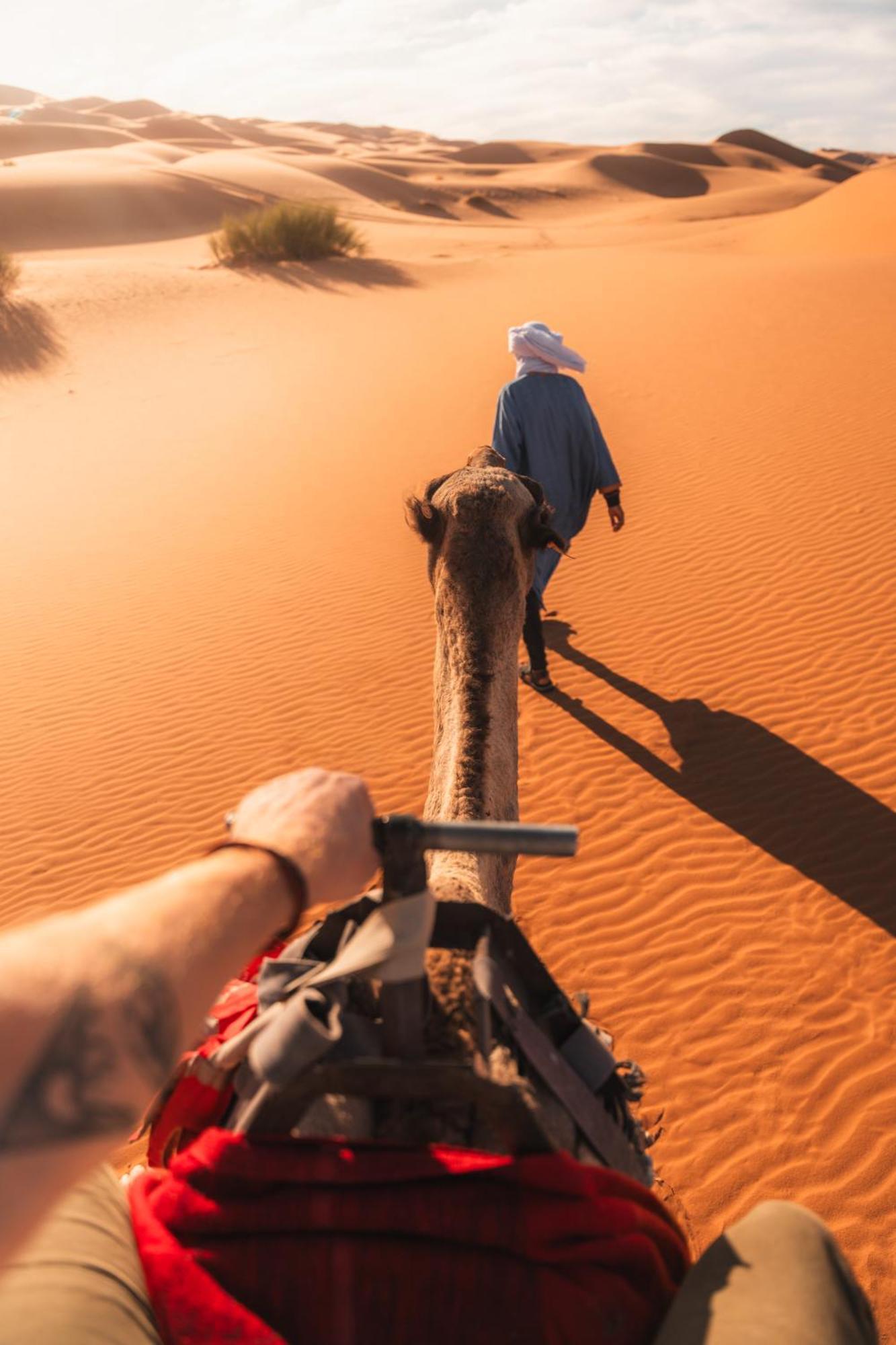 فندق Royal Luxury Camp مرزوكة المظهر الخارجي الصورة