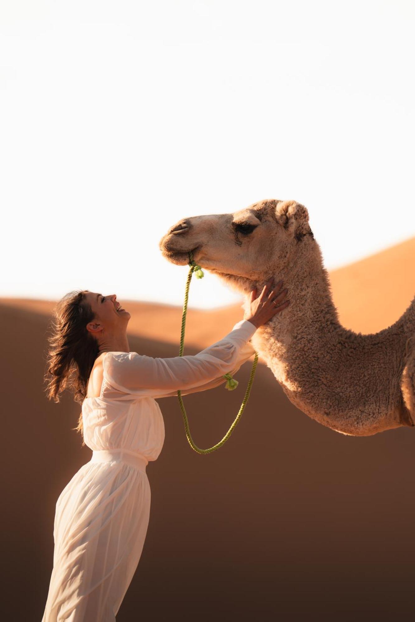 فندق Royal Luxury Camp مرزوكة المظهر الخارجي الصورة