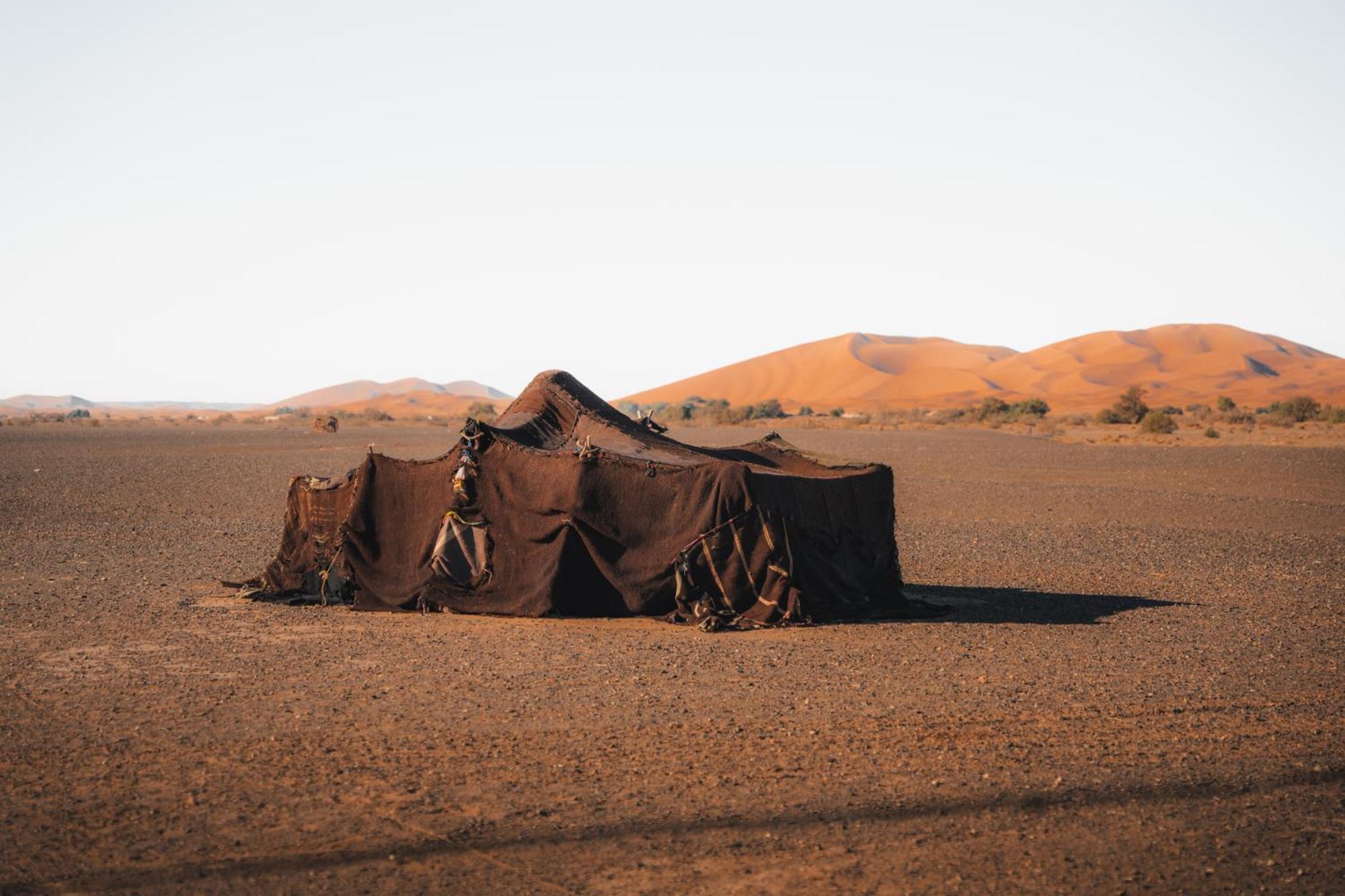 فندق Royal Luxury Camp مرزوكة المظهر الخارجي الصورة
